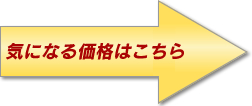 気になる価格はこちら