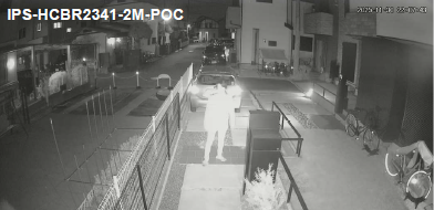赤外線カメラ映像：夜間の白黒映像