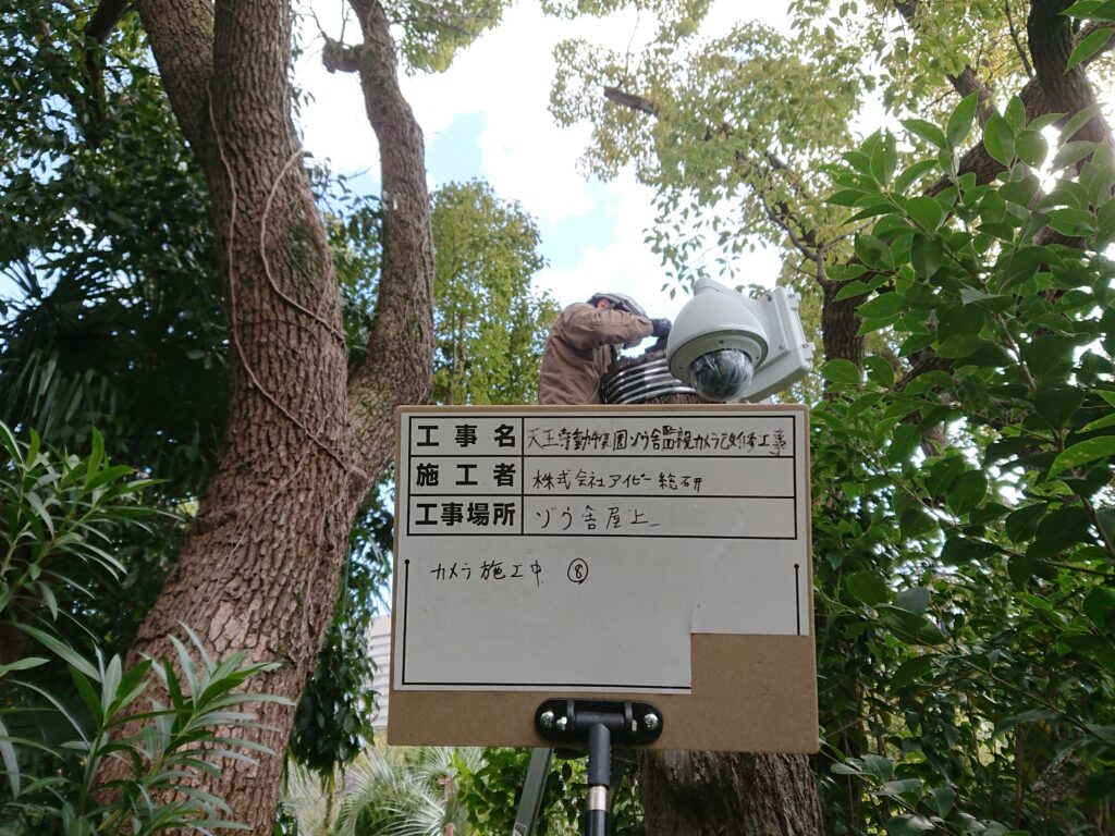 大阪府天王寺動物園ゾウ舎カメラ設置工事中